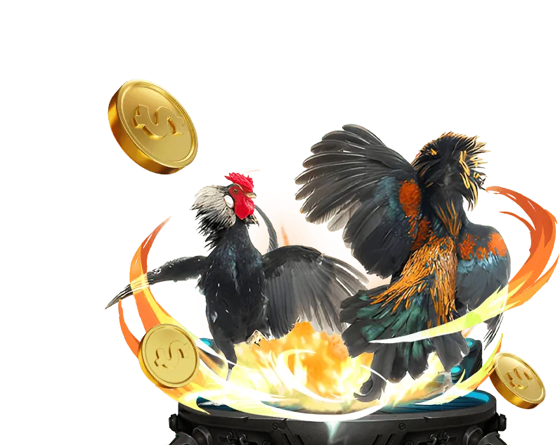 okking Casino trực tuyến chân thực